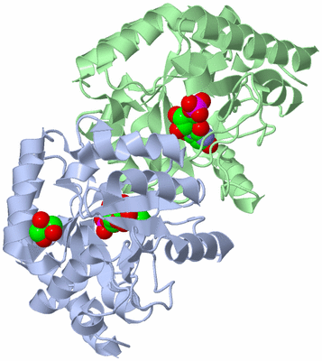 Image Asym./Biol. Unit