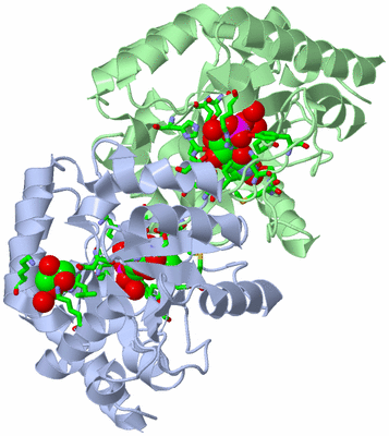 Image Asym./Biol. Unit - sites