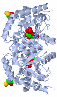 Image Biological Unit 1