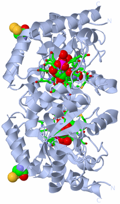 Image Biol. Unit 1 - sites