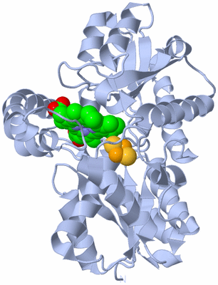 Image Biological Unit 1