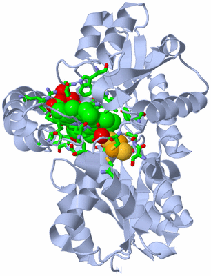 Image Biol. Unit 1 - sites