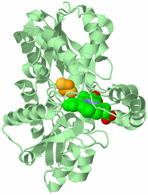 Image Biological Unit 2