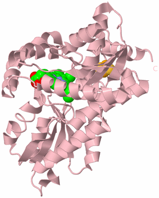 Image Biological Unit 3