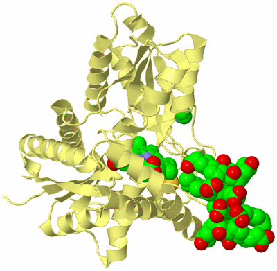 Image Biological Unit 4