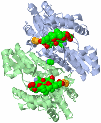 Image Asym./Biol. Unit