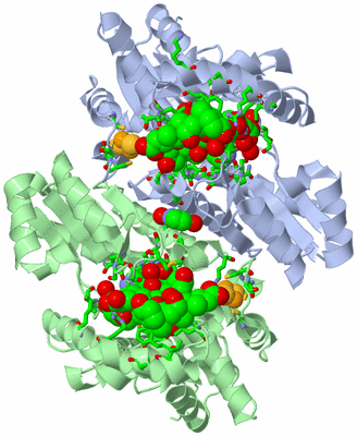 Image Asym./Biol. Unit - sites