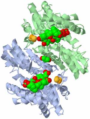 Image Asym./Biol. Unit