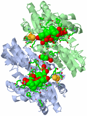 Image Asym./Biol. Unit - sites