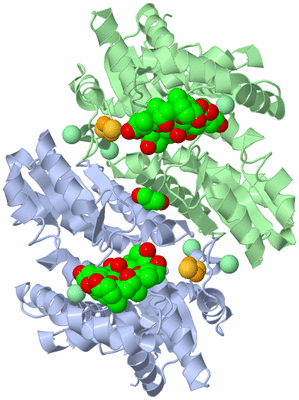 Image Asym./Biol. Unit