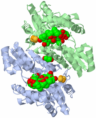 Image Asym./Biol. Unit