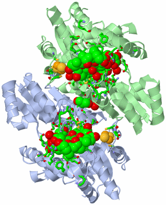 Image Asym./Biol. Unit - sites