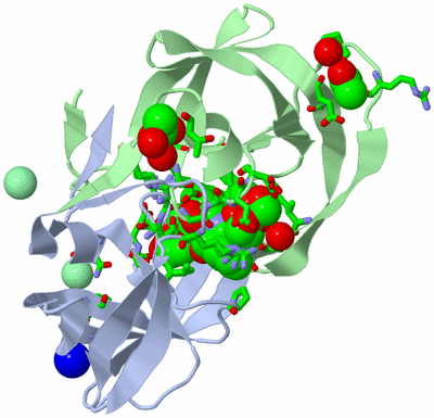 Image Asym./Biol. Unit - sites