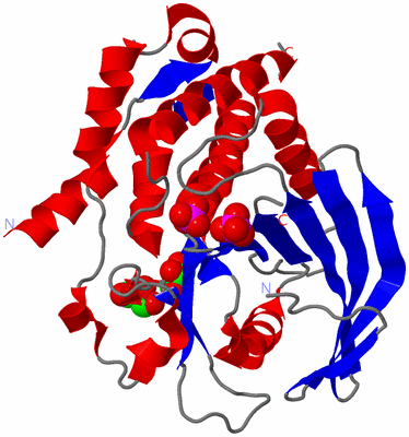 Image Asym./Biol. Unit