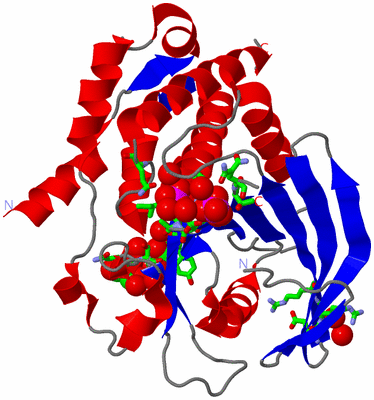 Image Asym./Biol. Unit - sites