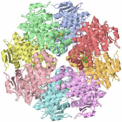 Image Asym./Biol. Unit - sites