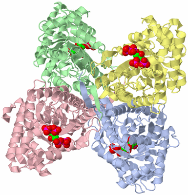 Image Asym./Biol. Unit