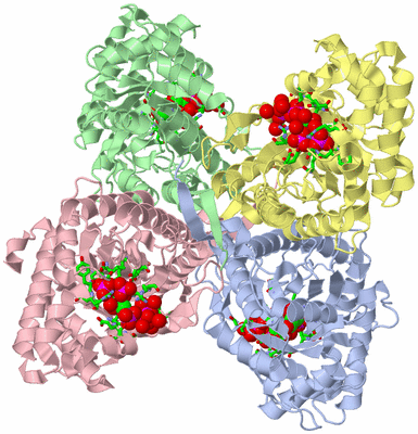 Image Asym./Biol. Unit - sites