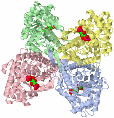 Image Asym./Biol. Unit