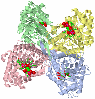 Image Asym./Biol. Unit - sites