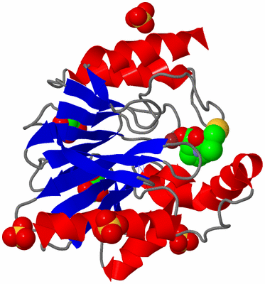 Image Asym./Biol. Unit