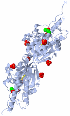 Image Biological Unit 1