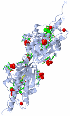 Image Biol. Unit 1 - sites