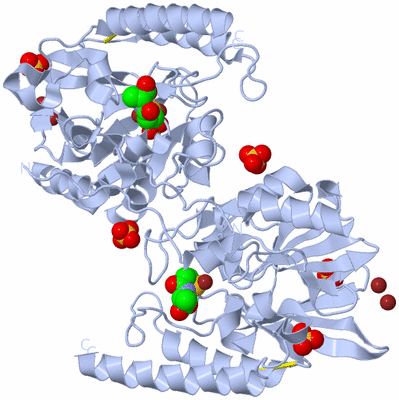 Image Biological Unit 2