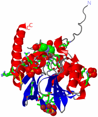 Image Asym. Unit - sites