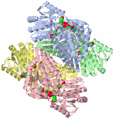 Image Asym./Biol. Unit