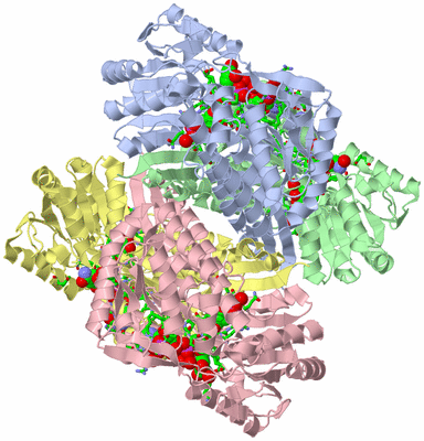 Image Asym./Biol. Unit - sites