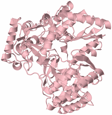 Image Biological Unit 3