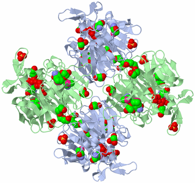 Image Biological Unit 2