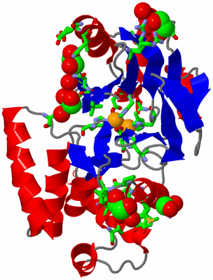 Image Asym./Biol. Unit - sites