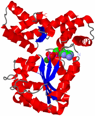 Image Asym./Biol. Unit