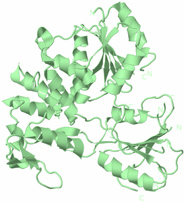 Image Biological Unit 2