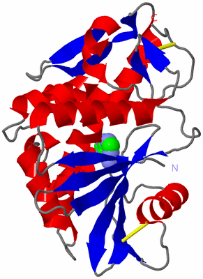 Image Asym./Biol. Unit