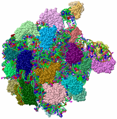 Image Asym./Biol. Unit