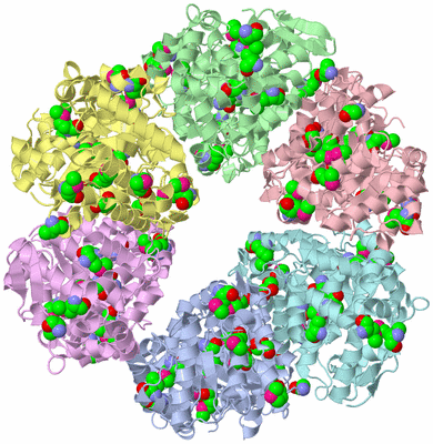 Image Biological Unit 1