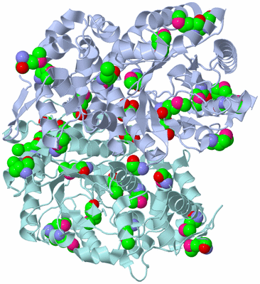 Image Biological Unit 2