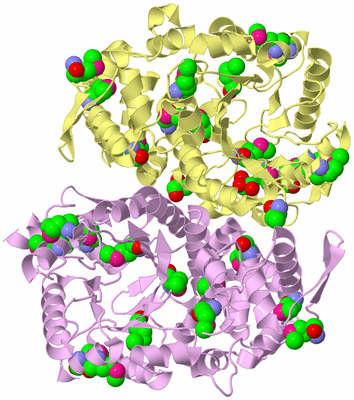 Image Biological Unit 3