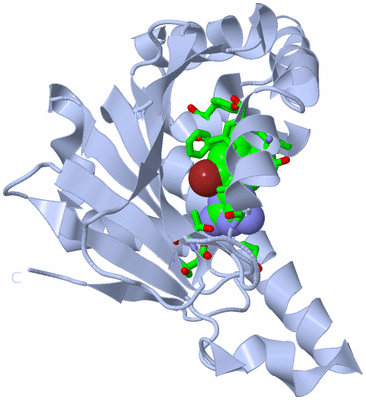 Image Biol. Unit 1 - sites