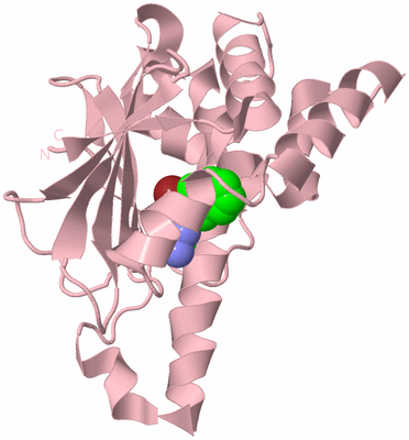 Image Biological Unit 3