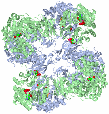 Image Biological Unit 1