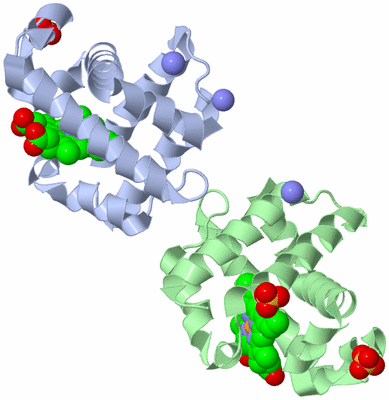 Image Biological Unit 1