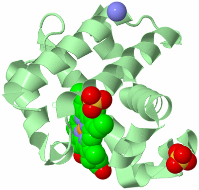 Image Biological Unit 3