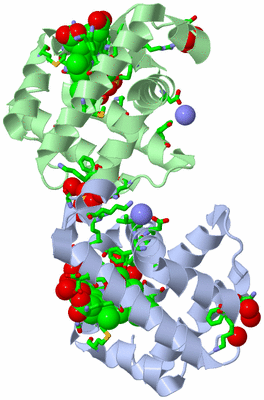 Image Asym./Biol. Unit - sites