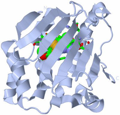 Image Biol. Unit 1 - sites