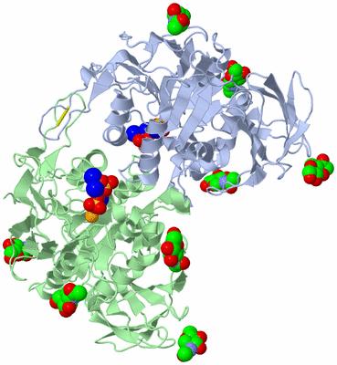 Image Biological Unit 1