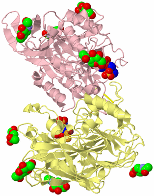 Image Biological Unit 2